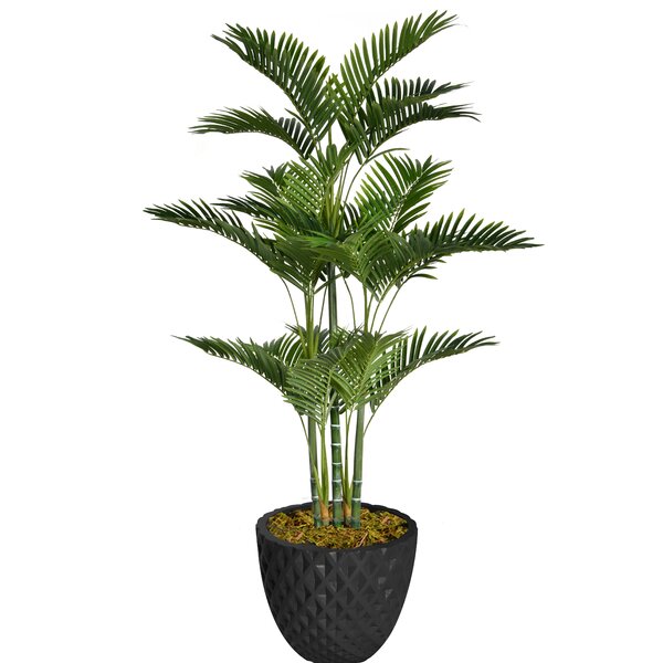 Laura Ashley Panama Faux Palm Tree In Fiberstone Planter Reviews